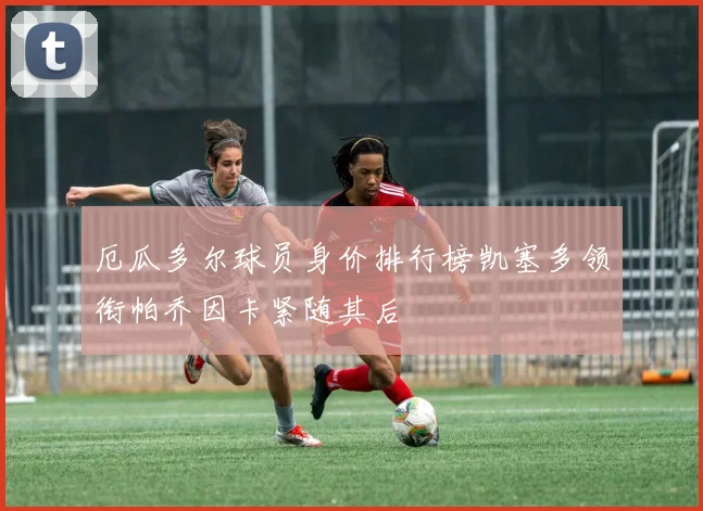厄瓜多尔球员身价排行榜凯塞多领衔帕乔因卡紧随其后