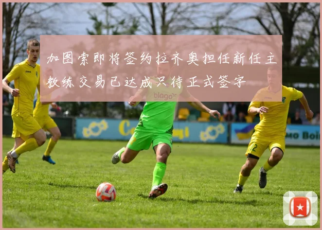 加图索即将签约拉齐奥担任新任主教练交易已达成只待正式签字