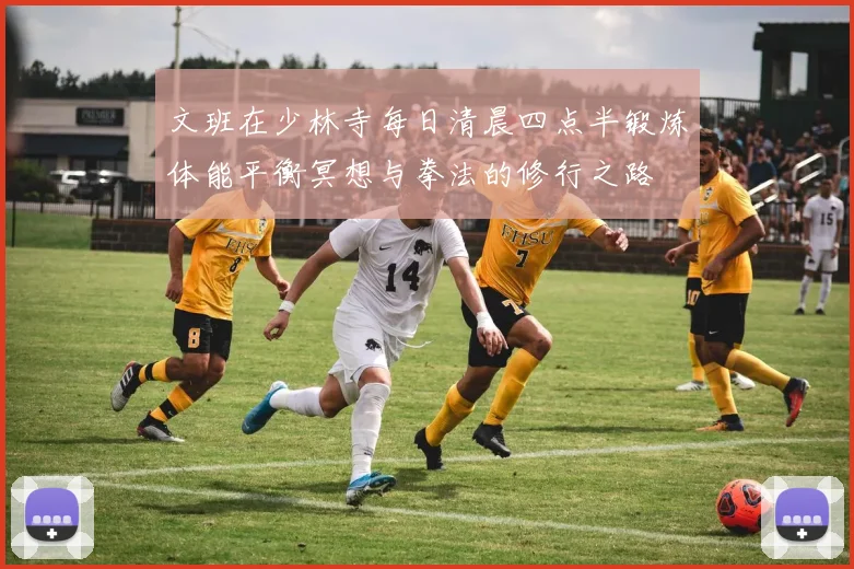 文班在少林寺每日清晨四点半锻炼体能平衡冥想与拳法的修行之路
