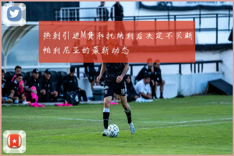 热刺引进M费和托纳利后决定不买断帕利尼亚的最新动态