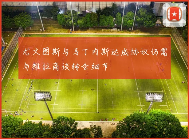 尤文图斯与马丁内斯达成协议仍需与维拉商谈转会细节